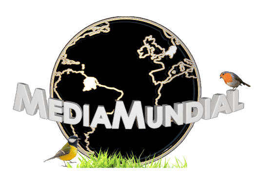 MediaMundial